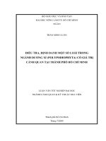 ĐIỀU TRA, ĐỊNH DANH MỘT SỐ LOÀI TRONG NGÀNH DƯƠNG XỈ (POLYPODIOPHYTA) CÓ GIÁ TRỊ CẢNH QUAN TẠI THÀNH PHỐ HỒ CHÍ MINH