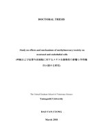 Study on effects and mechanisms of methylmercury toxicity on neuronal and endothelial cells 