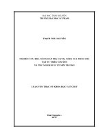 Nghiên cứu khả năng hấp phụ Cr(VI), Ni(II) của than chế tạo từ thân cây sen và thử nghiệm xử lý môi trường 