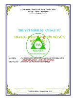 Trang trại chăn nuôi bò sữa Đăk Lăk 0903034381