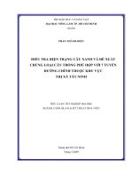 ĐIỀU TRA HIỆN TRẠNG CÂY XANH VÀ ĐỀ XUẤT CHỦNG LOẠI CÂY TRỒNG PHÙ HỢP VỚI 7 TUYẾN ĐƯỜNG CHÍNH THUỘC KHU VỰC THỊ XÃ TÂY NINH