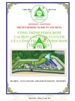 Thuyết minh dự án đầu tư xây dựng Công trình Ferocrom Cacbo cao 25,000 tấn năm của công ty TNHH Ferocrom Cacbo thanh hóa