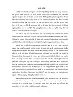 tiểu luận quan điểm của triết học mác – xít về con người – lý luận và vận dụng vào sự nghiệp đổi mới hiện nay