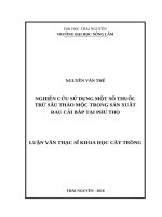 Nghiên cứu sử dụng một số thuốc trừ sâu thảo mộc trong sản xuất rau cải bắp tại phú thọ 