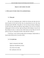 Luận văn tốt nghiệp “sưu tập và mô tả hình dạng của một số loài bướm” 