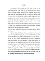 đường lối đổi mới toàn diện đất nướcqua đại hội VIII