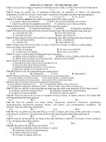 Bài tập lý thuyết ôn thi THPT Quốc Gia môn Hóa học