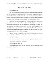 Tiểu luận hoá lượng tử    độ âm điện của nguyên tố và vai trò của độ âm điện trong hóa học 