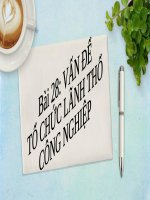 Bài 28. Vấn đề tổ chức lãnh thổ công nghiệp