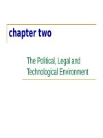 chapter 2 The Political, Legal and Technological Environment