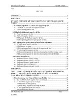 Kế toán nguyên vật liệu tại Chi nhánh Tổng công ty cổ phần xuất nhập khẩu và xây dựng Việt Nam_Khách sạn Holiday view