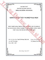 Phát triển hoạt động cho vay thấu chi tài khoản tại ngân hàng nông nghiệp và phát triển nông thôn việt nam, chi nhánh thừa thiên huế 