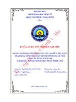 Nhu cầu sử dụng sản phẩm cho vay hạn mức tín dụng của hộ gia đình sản xuất kinh doanh quy mô nhỏ tại ngân hàng agribank chi nhánh huyện phong điền thừa thiên huế  