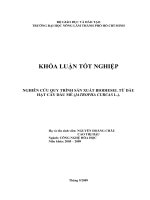 NGHIÊN CỨU QUY TRÌNH SẢN XUẤT BIODIESEL TỪ DẦU HẠT CÂY DẦU MÈ (JATROPHA CURCAS L.).