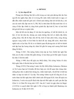 Quan hệ chính trị quốc tế phong trào không liên kết tiểu luận cao học