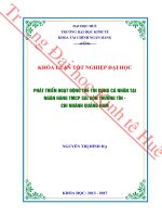 Phát triển hoạt động thẻ tín dụng cá nhân tại ngân hàng TMCP sài gòn thương tín – chi nhánh quảng nam 