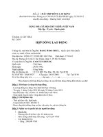 Mẫu số 1 MẪU HỢP ĐỒNG LAO ĐỘNG