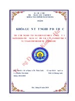 THỰC TRẠNG HOẠT ĐỘNG CHO VAY NHU cầu NHÀ ở tại NGÂN HÀNG THƯƠNG mại cổ PHẦN đầu tư và PHÁT TRIỂN VIỆT NAM CHI NHÁNH THỪA THIÊN HUẾ  