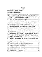 Giải pháp hoàn thiện tổ chức và hoạt động của Công ty TNHH Ernst & Young Việt Nam