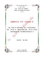 Quản trị rủi ro tín dụng tại ngân hàng thương mại cổ phần công thương việt nam chi nhánh quảng bình PGD ba đồn  