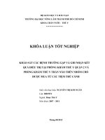 KHẢO SÁT CÁC BỆNH THƯỜNG GẶP VÀ GHI NHẬN KẾT QUẢ ĐIỀU TRỊ TẠI PHÒNG KHÁM THÚ Y QUẬN 2 VÀ PHÒNG KHÁM THÚ Y TRẦN NÃO TRÊN NHÓM CHÓ ĐƯỢC MUA TỪ CÁC TIỆM THÚ CẢNH