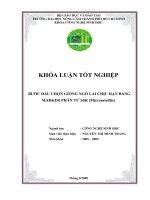 BƯỚC ĐẦU CHỌN GIỐNG NGÔ LAI CHỊU HẠN BẰNG MARKER PHÂN TỬ SSR (Microsatellite)