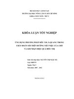 ỨNG DỤNG PHƯƠNG PHÁP SIÊU ÂM, XQUANG TRONG CHẨN ĐOÁN SỎI TRÊN ĐƯỜNG TIẾT NIỆU CỦA CHÓ VÀ GHI NHẬN HIỆU QUẢ ĐIỀU TRỊ