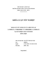 KHẢO SÁT SỨC SINH SẢN CỦA HEO NÁI LAI LANDRACE x YORKSHIRE VÀ YORKSHIRE x LANDRACE TẠI XÍ NGHIỆP CHĂN NUÔI HEO ĐỒNG HIỆP