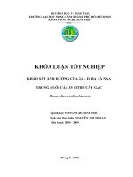 KHẢO SÁT ẢNH HƯỞNG CỦA 2,4 – D, BA VÀ NAA TRONG NUÔI CẤY IN VITRO CÂY GẤC Momordica cochinchinensis
