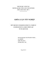 MỨC ĐỘ MẪN CẢM KHÁNG SINH CỦA VI KHUẨN STAPHYLOCOCCUS AUREUS PHÂN LẬP TỪ SỮA BÒ TƯƠI