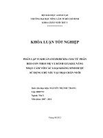 PHÂN LẬP VI KHUẨN ESCHERICHIA COLI TỪ PHÂN HEO CON THEO MẸ VÀ ĐÁNH GIÁ KHẢ NĂNG NHẠY CẢM VỚI CÁC LOẠI KHÁNG SINH ĐƯỢC SỬ DỤNG CHỦ YẾU TẠI TRẠI CHĂN NUÔI