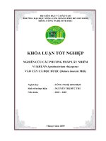 NGHIÊN CỨU CÁC PHƯƠNG PHÁP LÂY NHIỄM VI KHUẨN Agrobacterium rhizogenes VÀO CÂY CÀ ĐỘC DƯỢC (Datura innoxia Mill.)