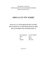 KHẢO SÁT CÁC CHỨNGBỆNH THƯỜNG GẶP TRÊN HEO NÁI SINH SẢN VÀ SINH TRƯỞNG HEO CON THEO MẸ TẠI XÍ NGHIỆP CHĂN NUÔI HEO GIỐNG 29