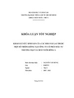 KHẢO SÁT SỨC SINH SẢN CỦA CÁC HEO NÁI LAI THUỘC MỘT SỐ NHÓM GIỐNG TẠI CÔNG TY CỔ PHẦN ĐẦU TƯ THƯƠNG MẠI VÀ CHĂN NUÔI ĐÔNG Á
