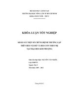 KHẢO SÁT MỘT SỐ CHỨNGBỆNH THƯỜNG GẶP TRÊN HEO NÁI ĐẺ VÀ HEO CON THEO MẸ TẠI TRẠI HEO KIM PHƯỢNG