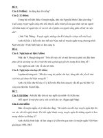 DE ON HS giỏi ngữ văn 11