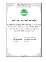 NGHIÊN CỨU SỬ DỤNG CHẾ PHẨM RIBE 2.0 THỦY PHÂN BÁNH DẦU ĐẬU PHỘNG ĐỂ SẢN XUẤT PHÂN HỮU CƠ SINH HỌC DẠNG LỎNG VÀ KHẢO SÁT HIỆU LỰC CỦA PHÂN TRÊN RAU CẢI NGỌT