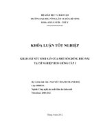 KHẢO SÁT SỨC SINH SẢN CỦA MỘT SỐ GIỐNG HEO NÁI TẠI XÍ NGHIỆP HEO GIỐNG CẤP I