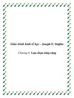 Chương 6: Lựa chọn công cộng  Giáo trình kinh tế học  Joseph E. Stiglitz