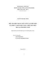 ĐIỀU TRA HIỆN TRẠNG CHĂN NUÔI VÀ SỰ HIỆN DIỆN CỦA PEDV VÀ ROTAVIRUS TYPE A TRÊN MẪU PHÂN HEO TẠI TỈNH ĐỒNG THÁP
