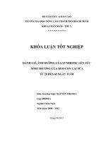 ĐÁNH GIÁ ẢNH HƯỞNG CỦA SYNBIOTIC LÊN SỨC SINH TRƯỞNG CỦA HEO CON CAI SỮA TỪ 28 ĐẾN 65 NGÀY TUỔI