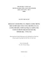 KHẢO SÁT ẢNH HƯỞNG CỦA TRỌNG LƯỢNG TRỨNG ĐEM ẤP ĐẾN KHẢ NĂNG TĂNG TRƯỞ NG CỦA GÀ LƯƠNG PHƯỢNG, NUÔI TẠI TRẠI GÀ GIỐNG THẢ VƯỜ N XÃ PHƯỚC HỘ I, HUYỆ N ĐẤ T ĐỎ, TỈNH BÀ RỊA  VŨNG TÀU