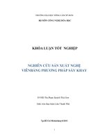 NGHIÊN CỨU SẢN XUẤT NGHỆ VIÊNBẰNG PHƯƠNG PHÁP SẤY KHAY