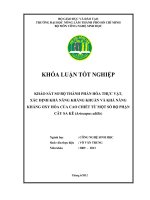KHẢO SÁT SƠ BỘ THÀNH PHẦN HÓA THỰC VẬT, XÁC ĐỊNH KHẢ NĂNG KHÁNG KHUẨN VÀ KHẢ NĂNG KHÁNG OXY HÓA CỦA CAO CHIẾT TỪ MỘT SỐ BỘ PHẬN CÂY SA KÊ (Artocapus altilis)
