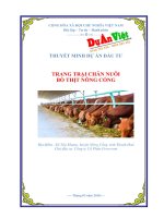 Trang trại chăn nuôi bò thịt Nông Cống tỉnh Thanh Hóa  www.duanviet.com.vn  0918755356