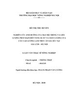 NGHIÊN CỨU ẢNH HƯỞNG CỦA MẬT ĐỘ TRỒNG VÀ LIỀU LƯỢNG PHÂN ĐẠM ĐẾN NĂNG SUẤT VÀ CHẤT LƯỢNG CỦACÂY CAO LƯƠNG LÀM THỨC ĂN GIA SÚC TẠI GIA LÂM – HÀ NỘI