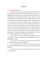 Đánh giá hiệu quả một số công thức luân canh chính và hướng phát triểncủa chúng trong sản xuất nông nghiệp của huyện Từ Liêm – Hà Nội