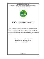XÂY DỰNG QUY TRÌNH MUTIPLEX PCR PHÁT HIỆN PORCINE CIRCOVIRUS TYPE 2, HAEMONPHILUS PARASUIS ACTINOBACILLUS PLEUROPNEUMONIAE GÂY BỆNH HÔ HẤP PHỨC HỢP TRÊN HEO