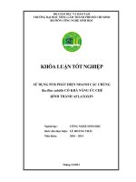 Sử dụng kỹ thuật PCR nhằm rút ngắn thời gian tìm kiếm các chủng Bacillus subtilis có khả năng ức chế hình thành aflatoxin.