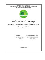 KHẢO SÁT MỘT SỐ ĐIỀU KIỆN NUÔI CẤY NẤM Cordyceps militaris